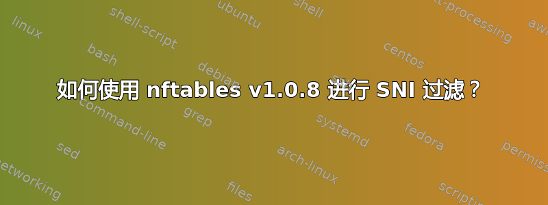 如何使用 nftables v1.0.8 进行 SNI 过滤？