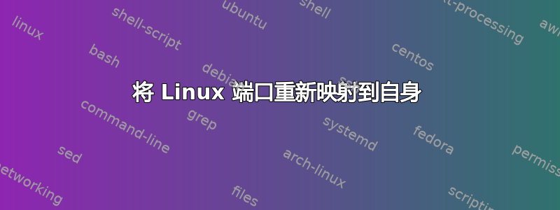 将 Linux 端口重新映射到自身