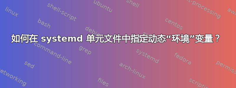 如何在 systemd 单元文件中指定动态“环境”变量？