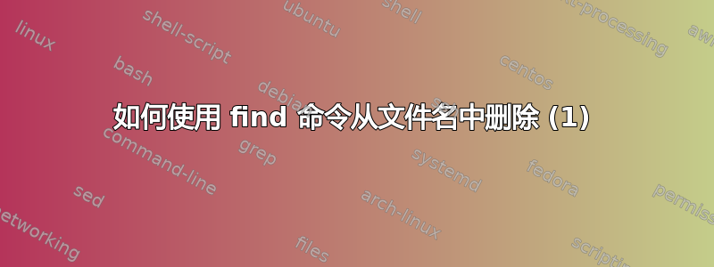 如何使用 find 命令从文件名中删除 (1)