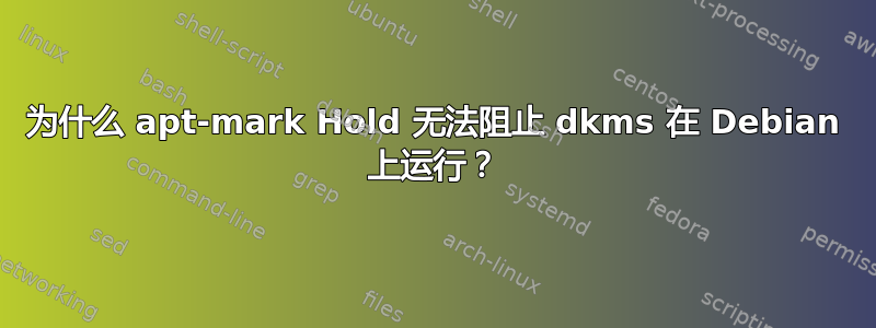 为什么 apt-mark Hold 无法阻止 dkms 在 Debian 上运行？