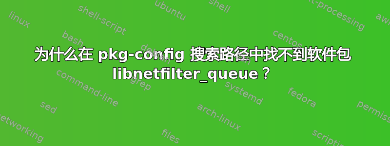 为什么在 pkg-config 搜索路径中找不到软件包 libnetfilter_queue？