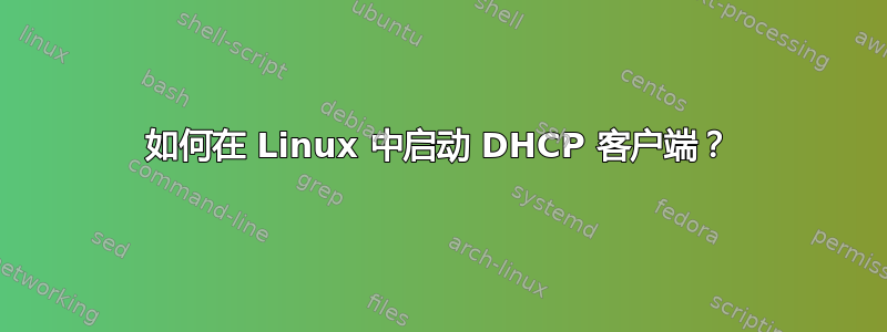 如何在 Linux 中启动 DHCP 客户端？