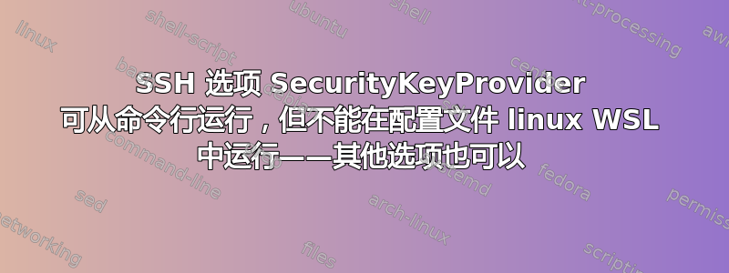 SSH 选项 SecurityKeyProvider 可从命令行运行，但不能在配置文件 linux WSL 中运行——其他选项也可以