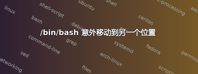 /bin/bash 意外移动到另一个位置