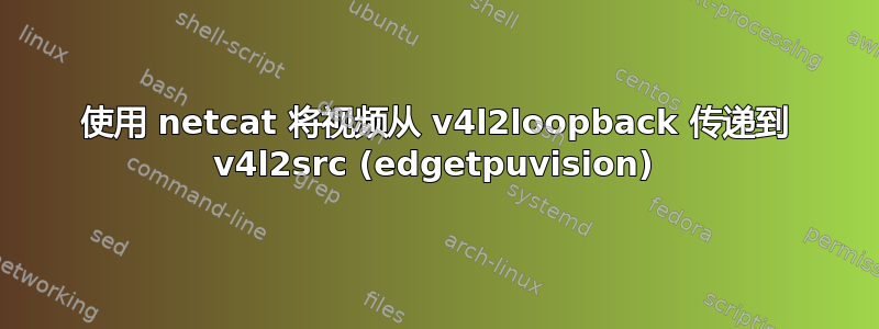 使用 netcat 将视频从 v4l2loopback 传递到 v4l2src (edgetpuvision)