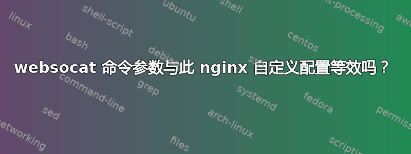 websocat 命令参数与此 nginx 自定义配置等效吗？