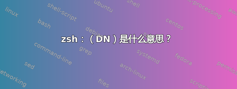 zsh：（DN）是什么意思？