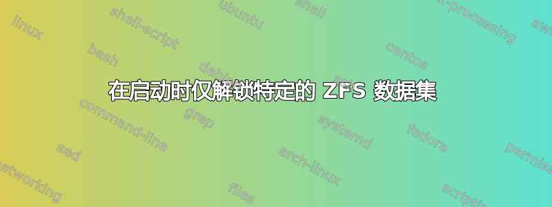 在启动时仅解锁特定的 ZFS 数据集