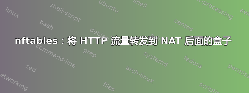 nftables：将 HTTP 流量转发到 NAT 后面的盒子