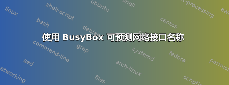 使用 BusyBox 可预测网络接口名称