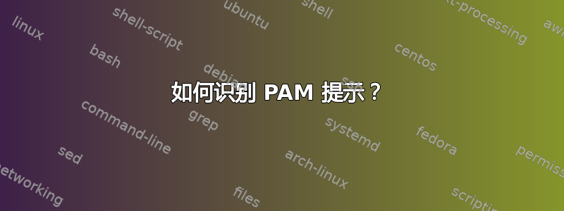 如何识别 PAM 提示？