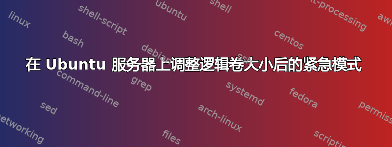 在 Ubuntu 服务器上调整逻辑卷大小后的紧急模式