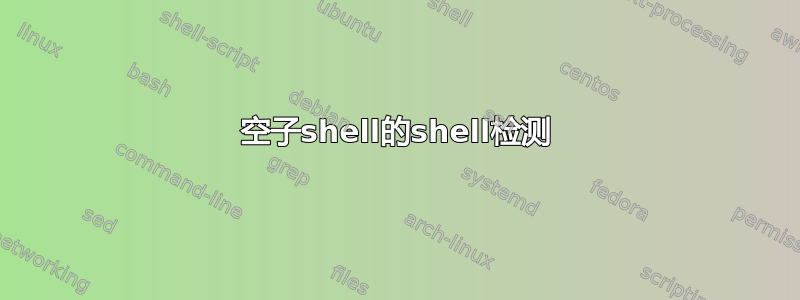 空子shell的shell检测