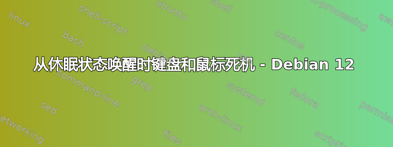 从休眠状态唤醒时键盘和鼠标死机 - Debian 12