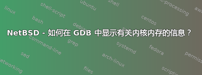 NetBSD - 如何在 GDB 中显示有关内核内存的信息？