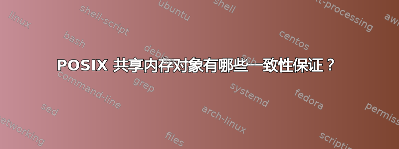 POSIX 共享内存对象有哪些一致性保证？