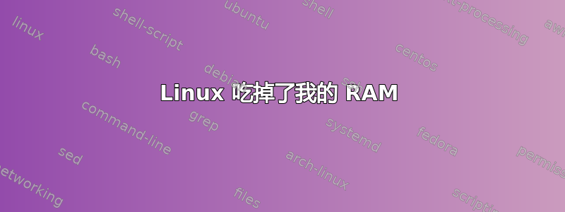 Linux 吃掉了我的 RAM