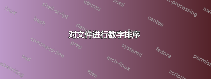 对文件进行数字排序