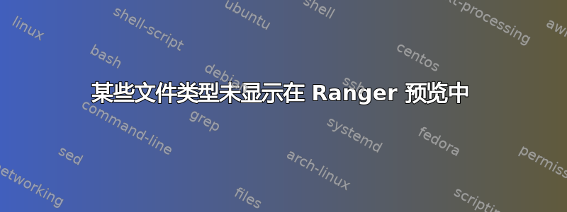 某些文件类型未显示在 Ranger 预览中