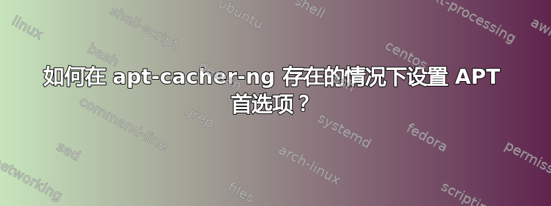 如何在 apt-cacher-ng 存在的情况下设置 APT 首选项？