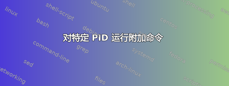 对特定 PID 运行附加命令