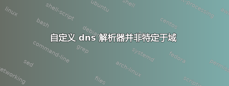 自定义 dns 解析器并非特定于域