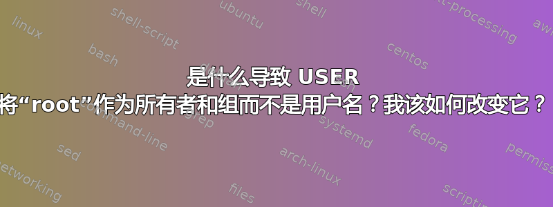 是什么导致 USER 将“root”作为所有者和组而不是用户名？我该如何改变它？