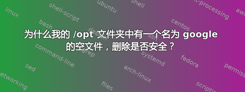 为什么我的 /opt 文件夹中有一个名为 google 的空文件，删除是否安全？