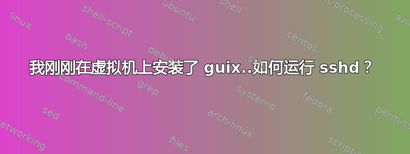 我刚刚在虚拟机上安装了 guix..如何运行 sshd？