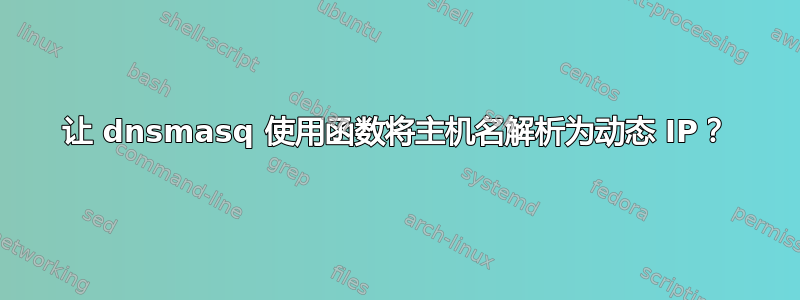 让 dnsmasq 使用函数将主机名解析为动态 IP？