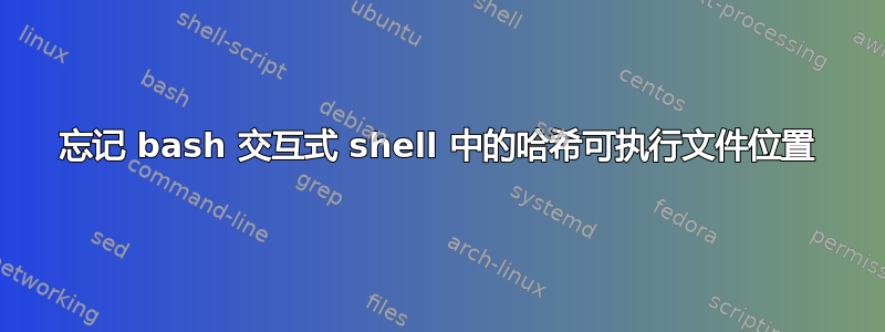 忘记 bash 交互式 shell 中的哈希可执行文件位置