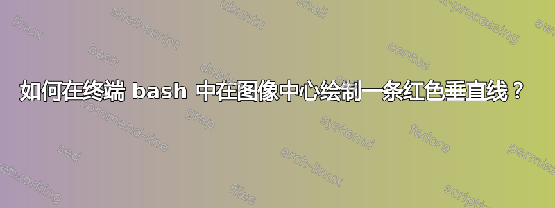 如何在终端 bash 中在图像中心绘制一条红色垂直线？