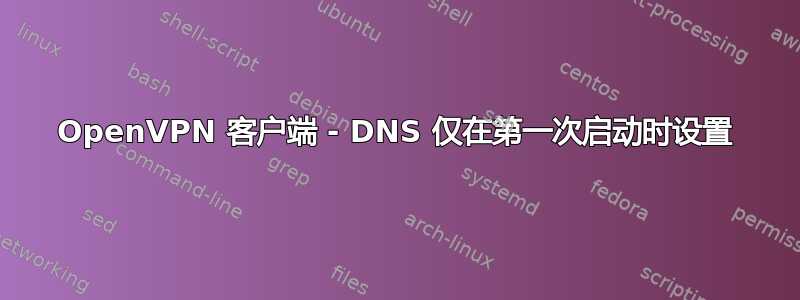 OpenVPN 客户端 - DNS 仅在第一次启动时设置