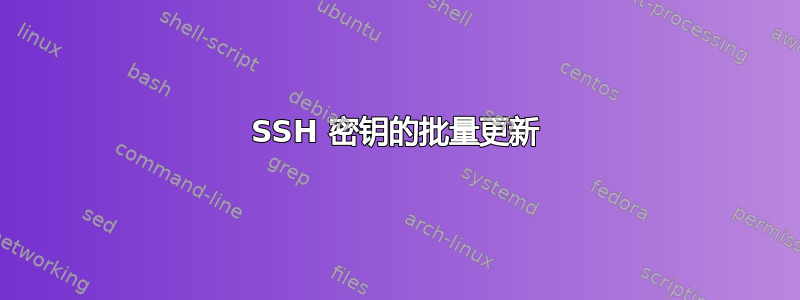 SSH 密钥的批量更新