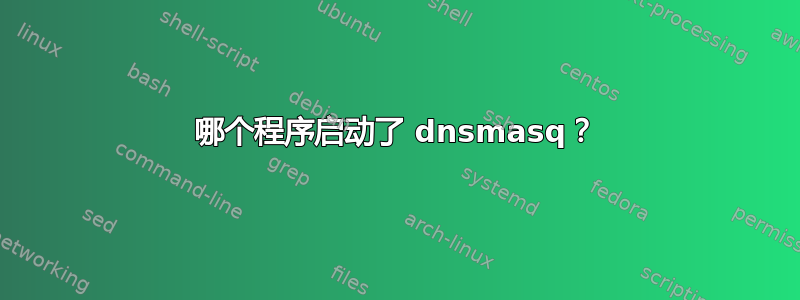 哪个程序启动了 dnsmasq？