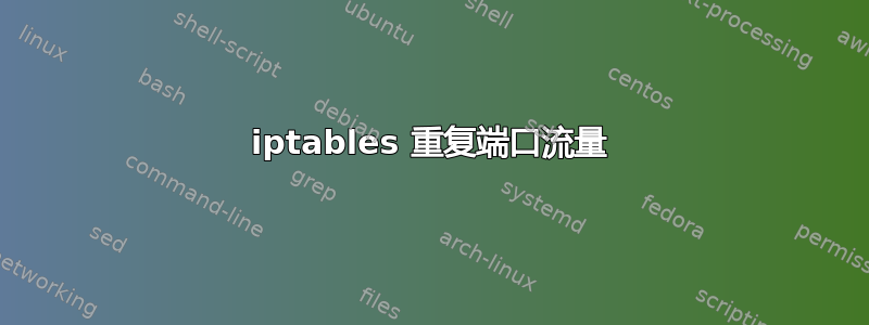 iptables 重复端口流量