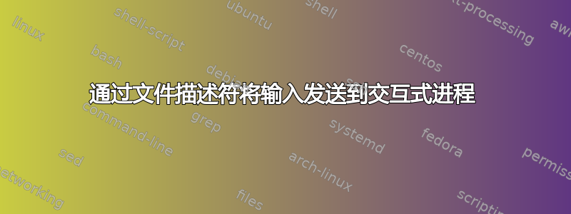 通过文件描述符将输入发送到交互式进程