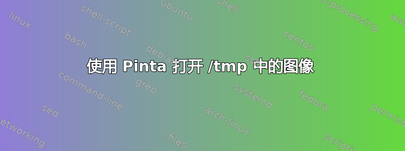 使用 Pinta 打开 /tmp 中的图像