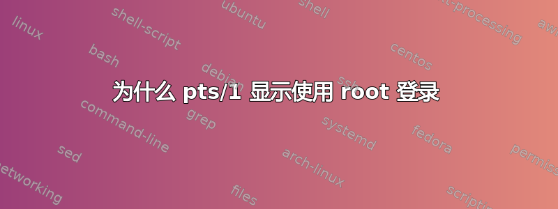 为什么 pts/1 显示使用 root 登录