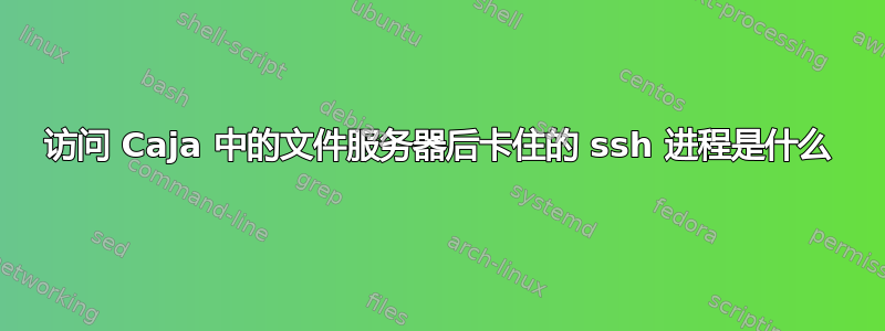 访问 Caja 中的文件服务器后卡住的 ssh 进程是什么