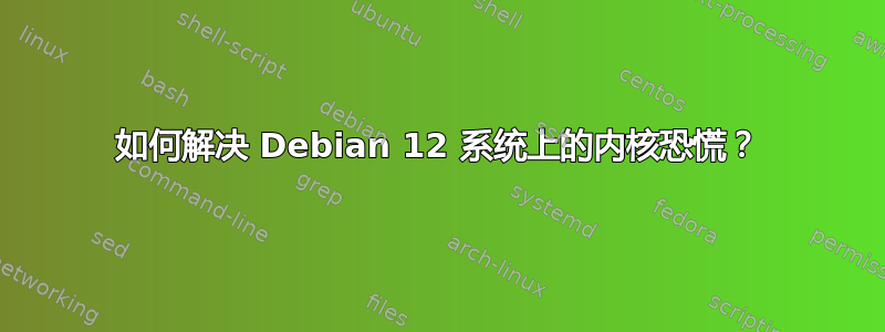 如何解决 Debian 12 系统上的内核恐慌？