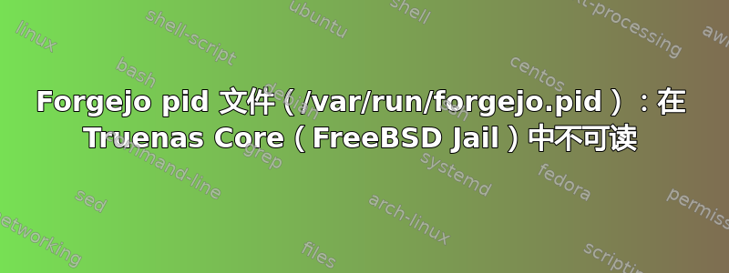 Forgejo pid 文件（/var/run/forgejo.pid）：在 Truenas Core（FreeBSD Jail）中不可读