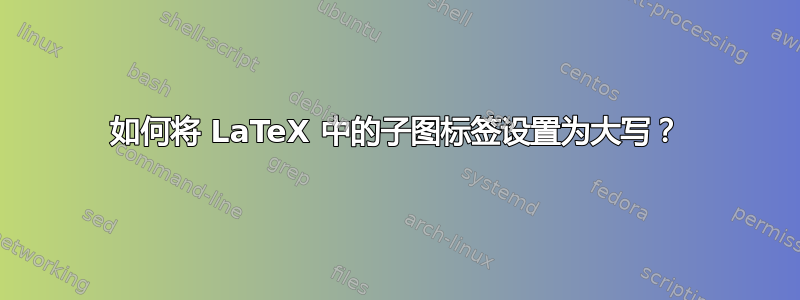 如何将 LaTeX 中的子图标签设置为大写？