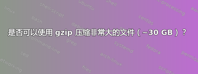 是否可以使用 gzip 压缩非常大的文件（~30 GB）？