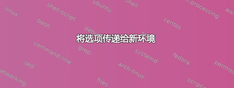 将选项传递给新环境