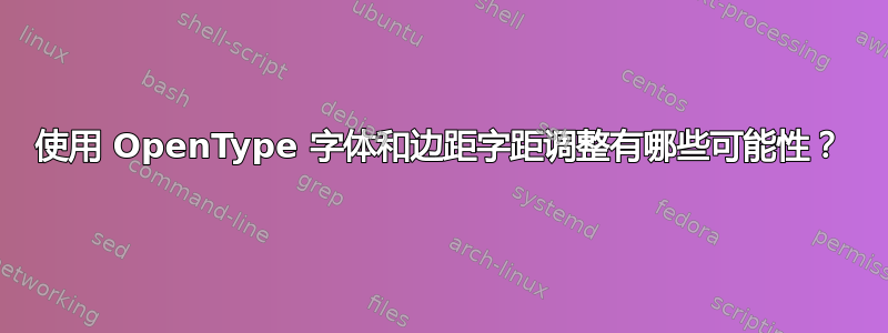 使用 OpenType 字体和边距字距调整有哪些可能性？