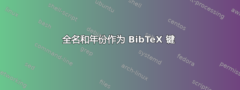 全名和年份作为 BibTeX 键