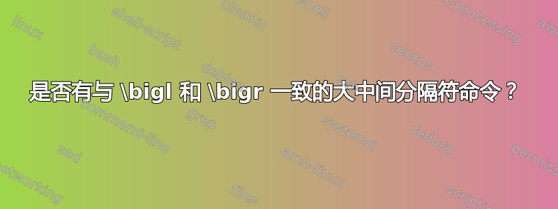 是否有与 \bigl 和 \bigr 一致的大中间分隔符命令？