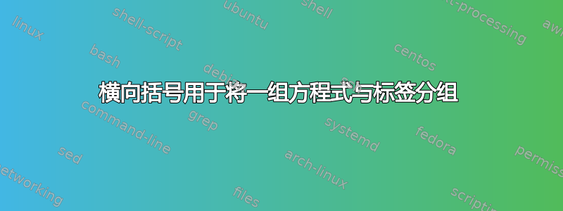 横向括号用于将一组方程式与标签分组